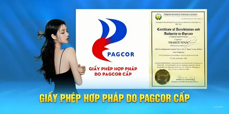 Hướng dẫn xác minh giấy phép hoạt động thabet