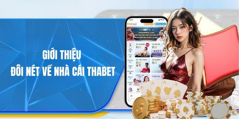 Tổng quan đôi nét về thương hiệu Thabet